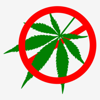 No Weed - 11x11 DTF Transfer Design