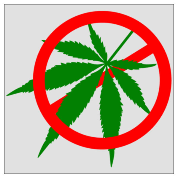 No Weed - 11x11 DTF Transfer Thumbnail