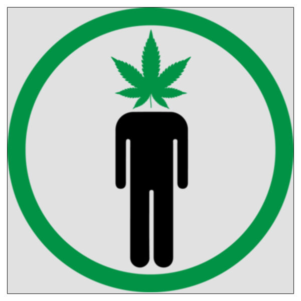 Pot Head - 11x11 DTF Transfer Thumbnail